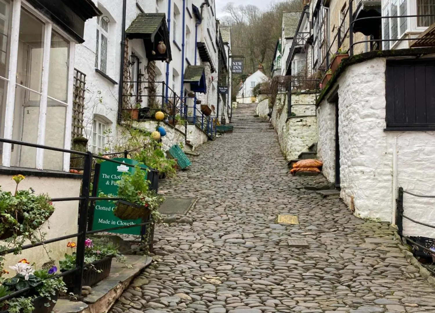 Semesterbostad Cosy North Devon Lodge Within Hartland Forest Exeter Storbritannien
